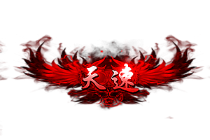 称号     天速