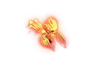宠物    烈焰神鸟