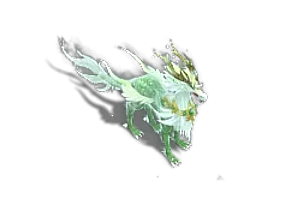 宠物  青木龙神