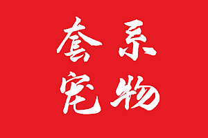套系宠物   一套女性刺客