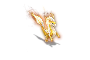 宠物   小神龙