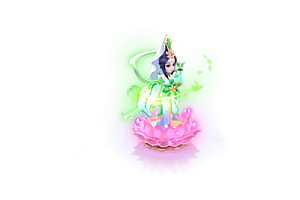 宠物    正常大小观音扑杀