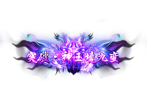 称号   突破·神王境九变