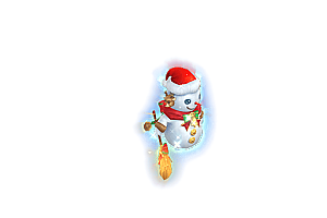 宠物      夏日雪人