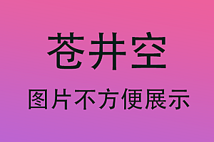 宠物    苍井空