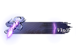 铭牌   VIP3