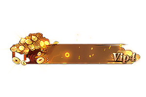 铭牌   VIP4