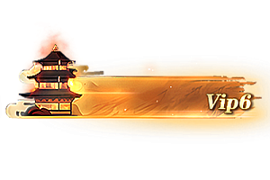 铭牌   VIP6