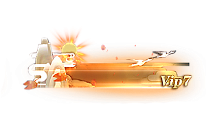 铭牌   VIP7