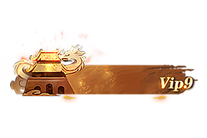 铭牌   VIP9