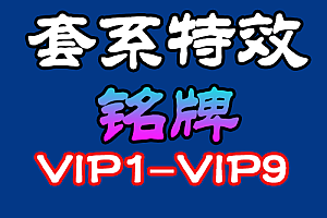 套系铭牌特效    VIP系列