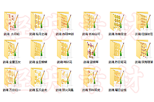 套系特效   斗罗武魂(16个)