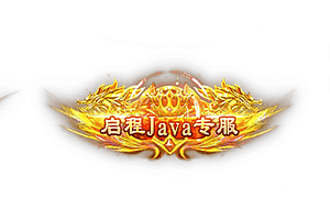 称号   启程Java专服