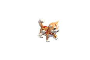 宠物    犬子送纸